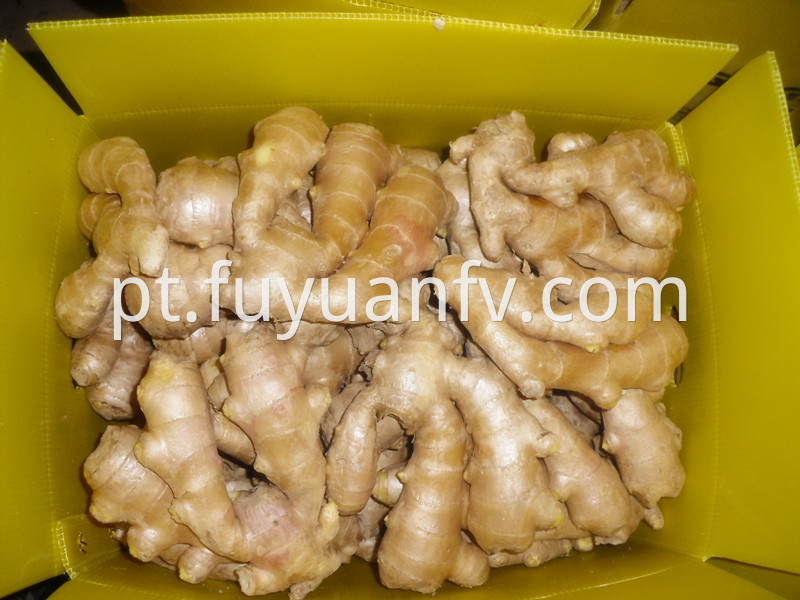 anqiu Air dried ginger